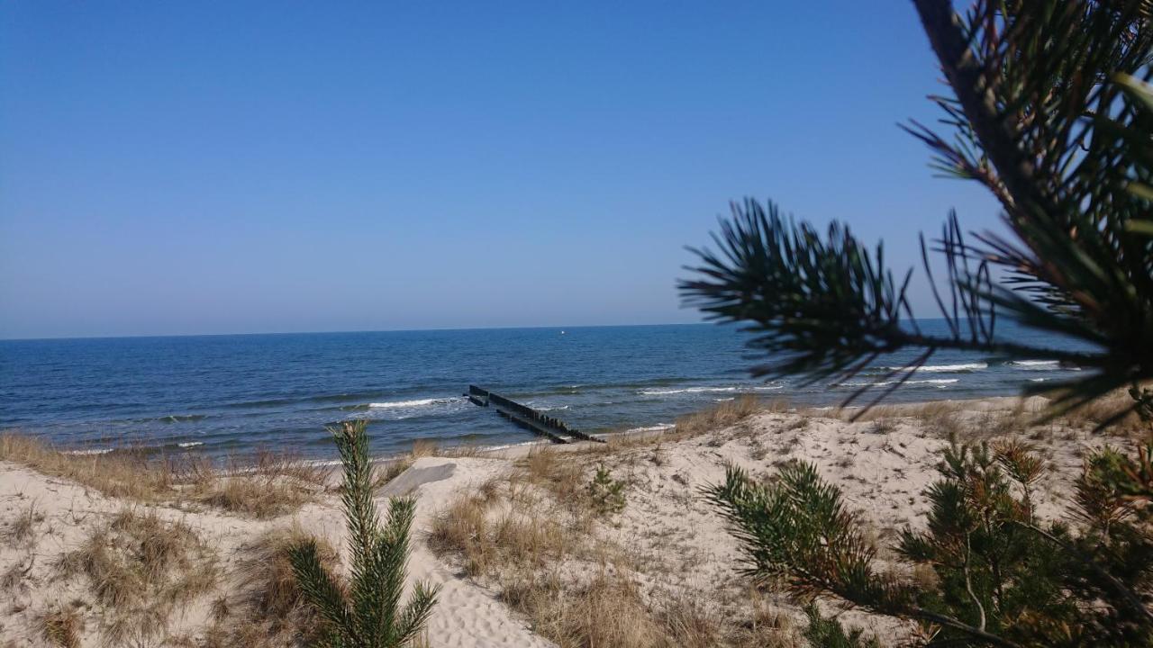 Duneshellter Rogowo Rogowo  Kültér fotó